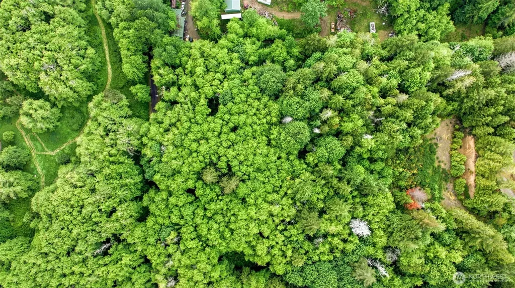 241 NE Rendsland Creek Road Tahuya WA 98588