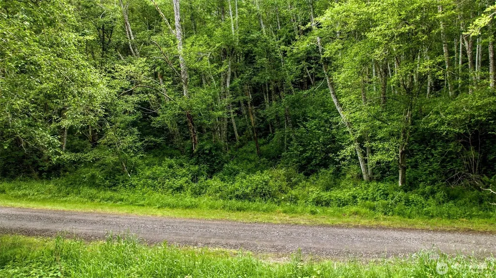 241 NE Rendsland Creek Road Tahuya WA 98588