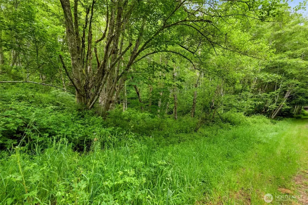241 NE Rendsland Creek Road Tahuya WA 98588