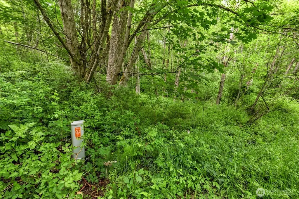 241 NE Rendsland Creek Road Tahuya WA 98588