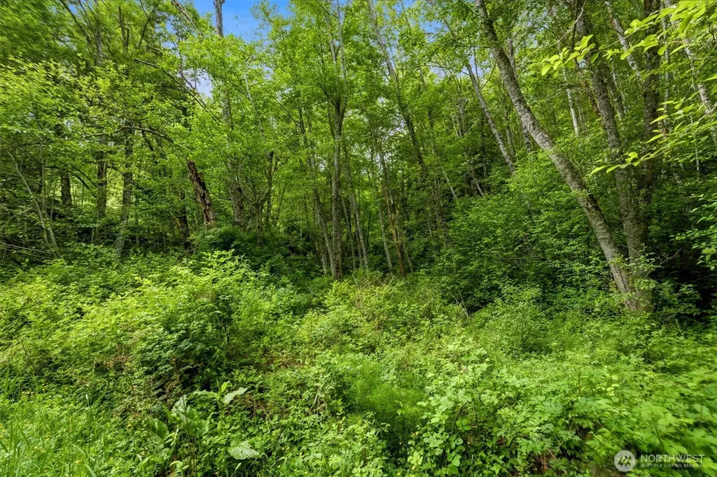 241 NE Rendsland Creek Road Tahuya WA 98588