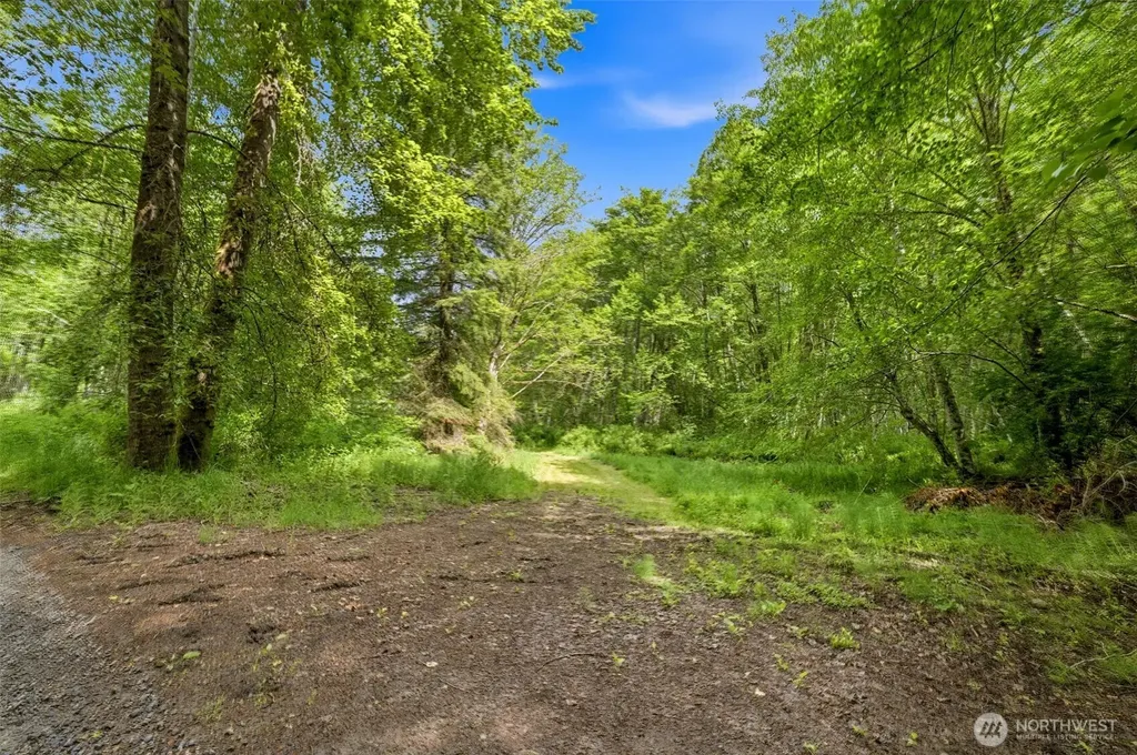 241 NE Rendsland Creek Road Tahuya WA 98588