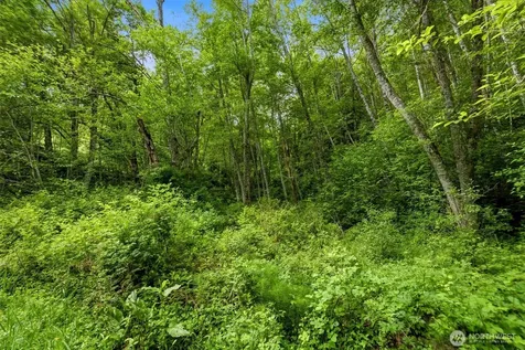 241 NE Rendsland Creek Road Tahuya WA 98588