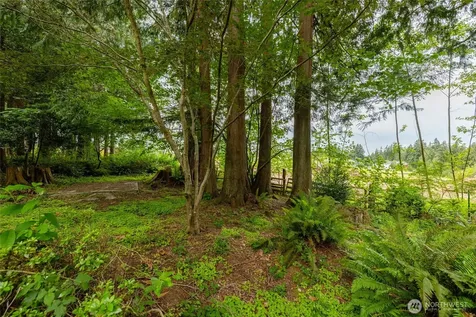 501 Shoshone Drive Mount Vernon WA 98273