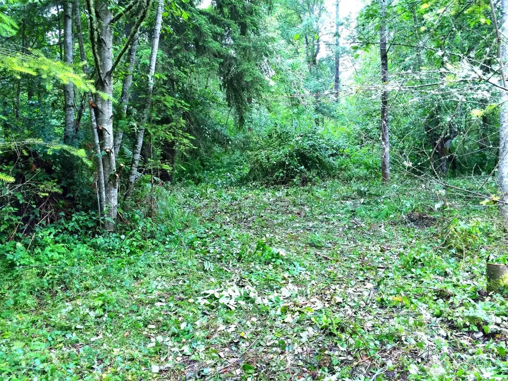 36610 48th Avenue S Roy WA 98580