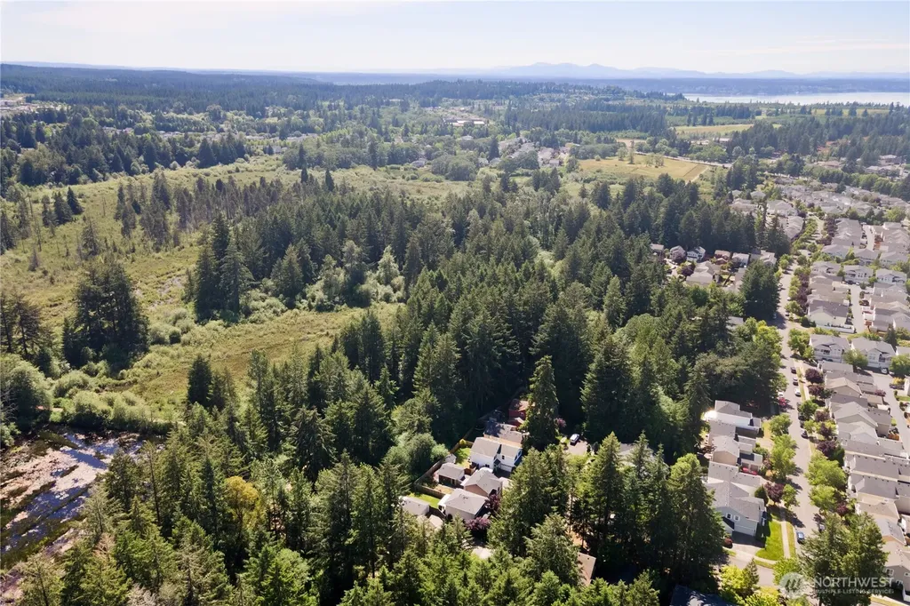 1145 Cosper Street Dupont WA 98327