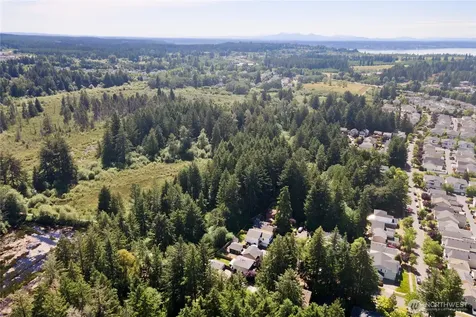 1145 Cosper Street Dupont WA 98327