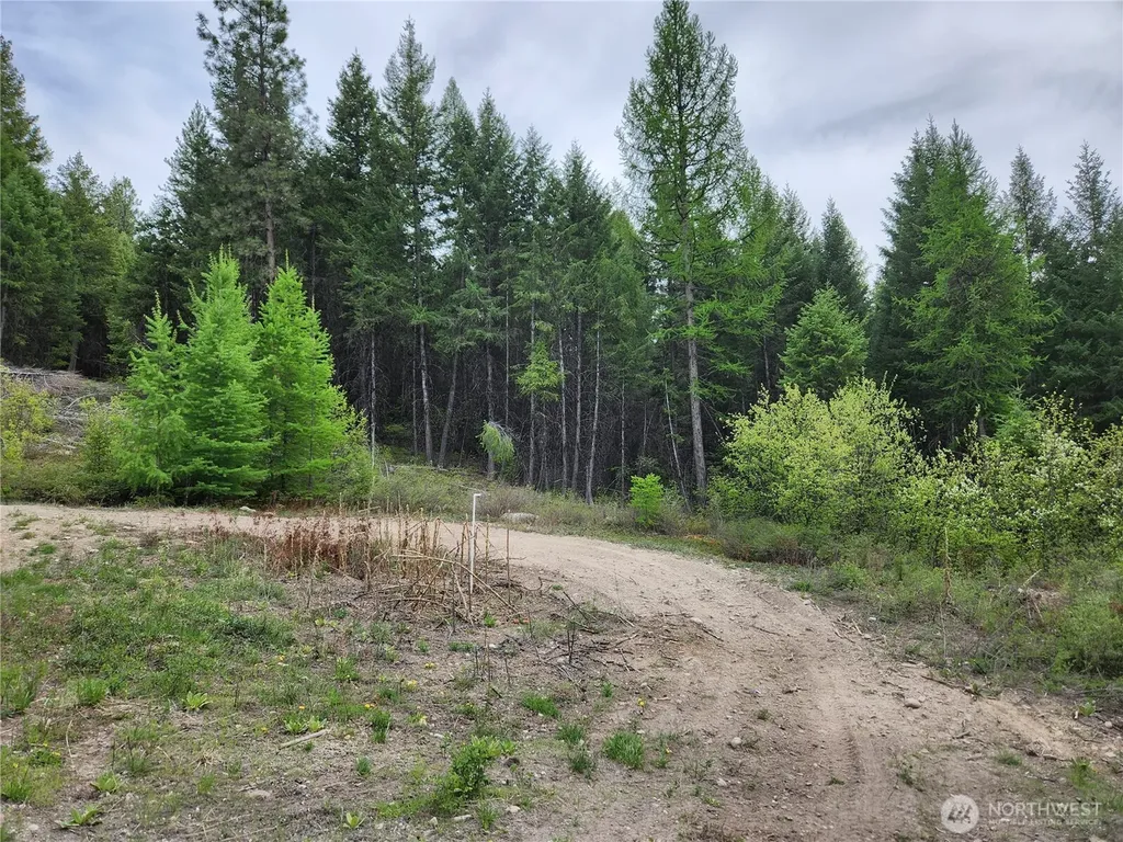 0 Gold Mountain Road Republic WA 99166