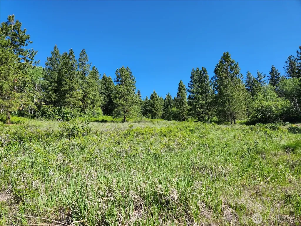 0 Gold Mountain Road Republic WA 99166