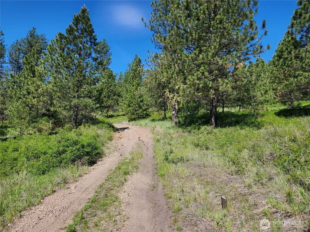 0 Gold Mountain Road Republic WA 99166