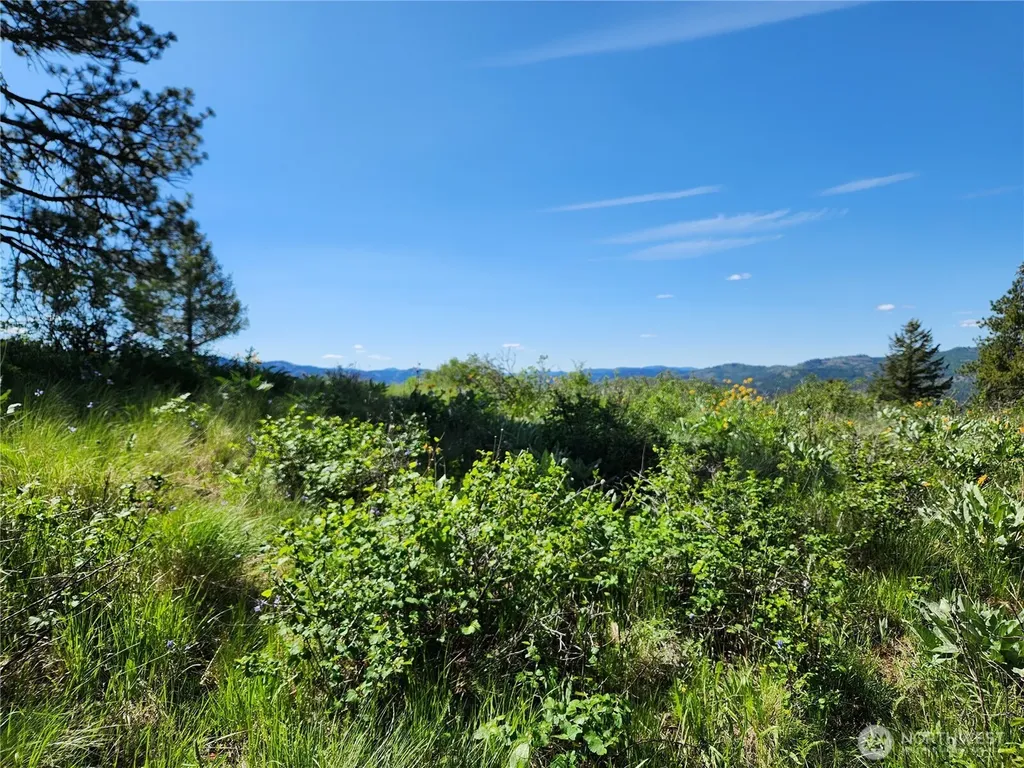 0 E Knob Hill Road Republic WA 99166