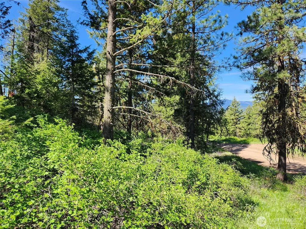 0 E Knob Hill Road Republic WA 99166
