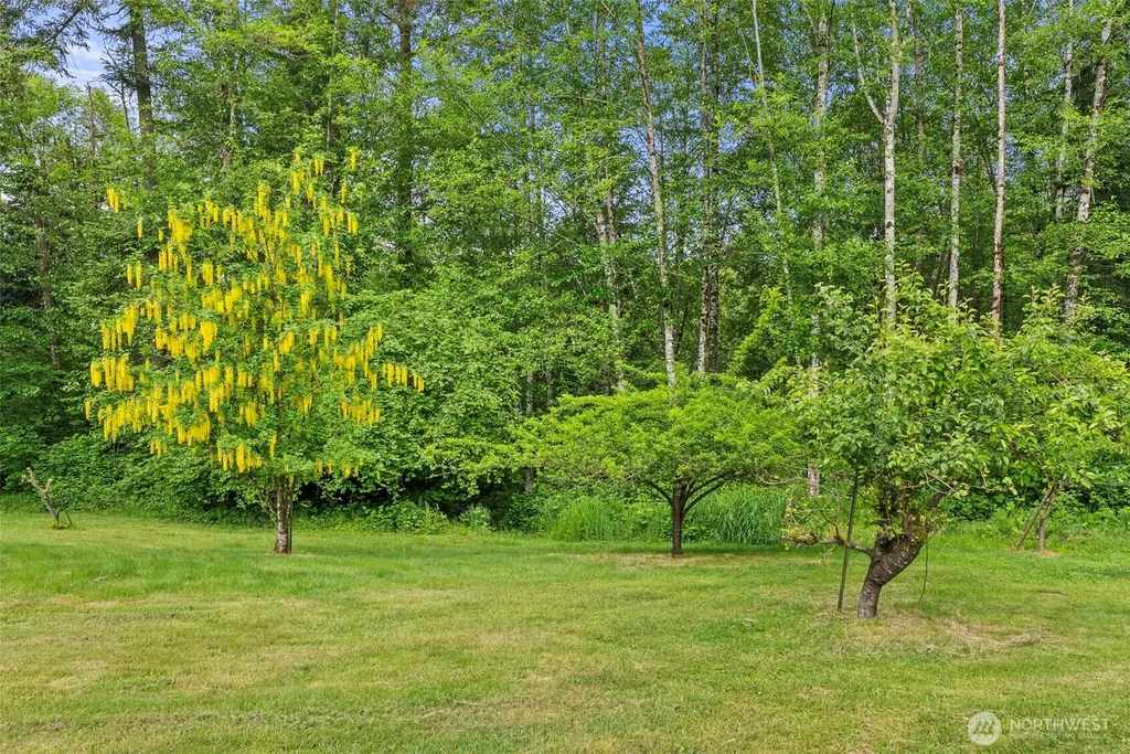 2538 157th Lane SW Tenino WA 98589
