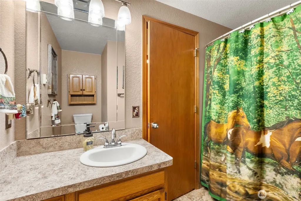 2538 157th Lane SW Tenino WA 98589