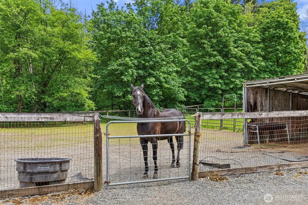 2538 157th Lane SW Tenino WA 98589