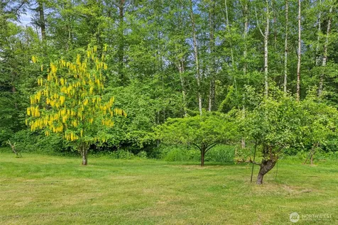 2538 157th Lane SW Tenino WA 98589