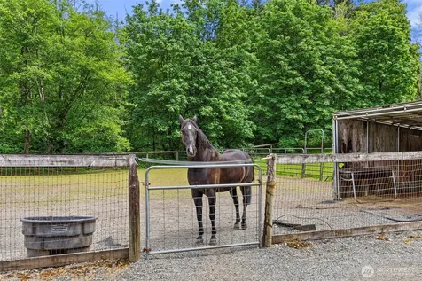 2538 157th Lane SW Tenino WA 98589