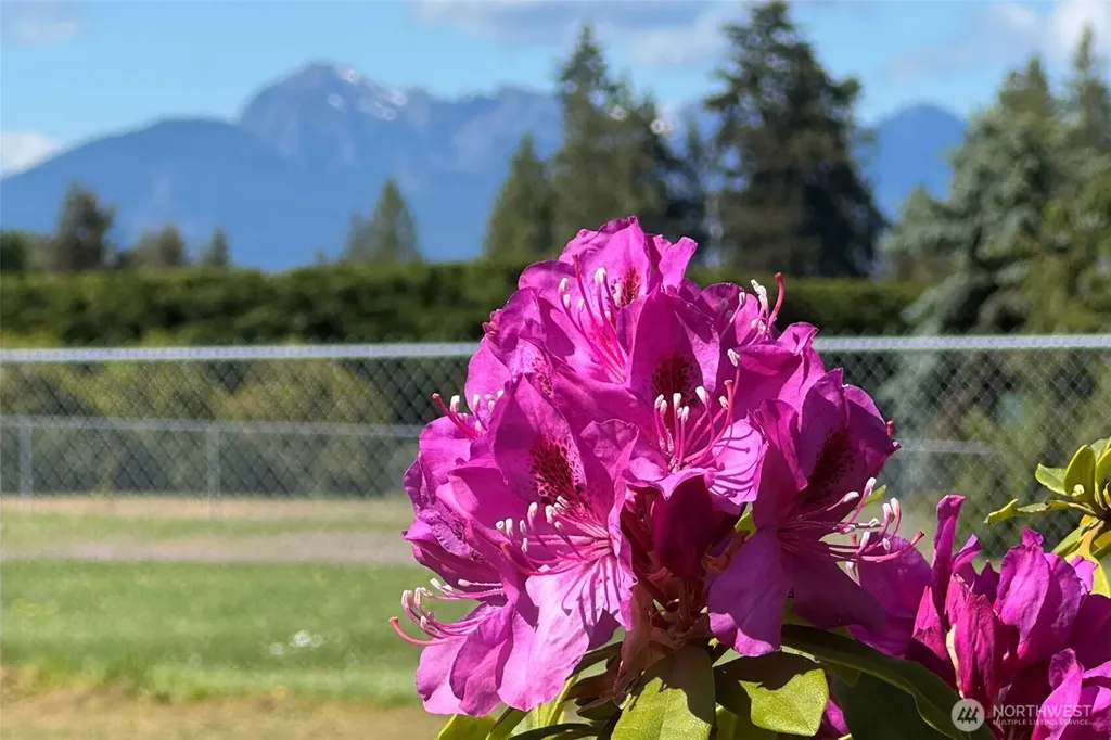 101 Timothy Lane Sequim WA 98382