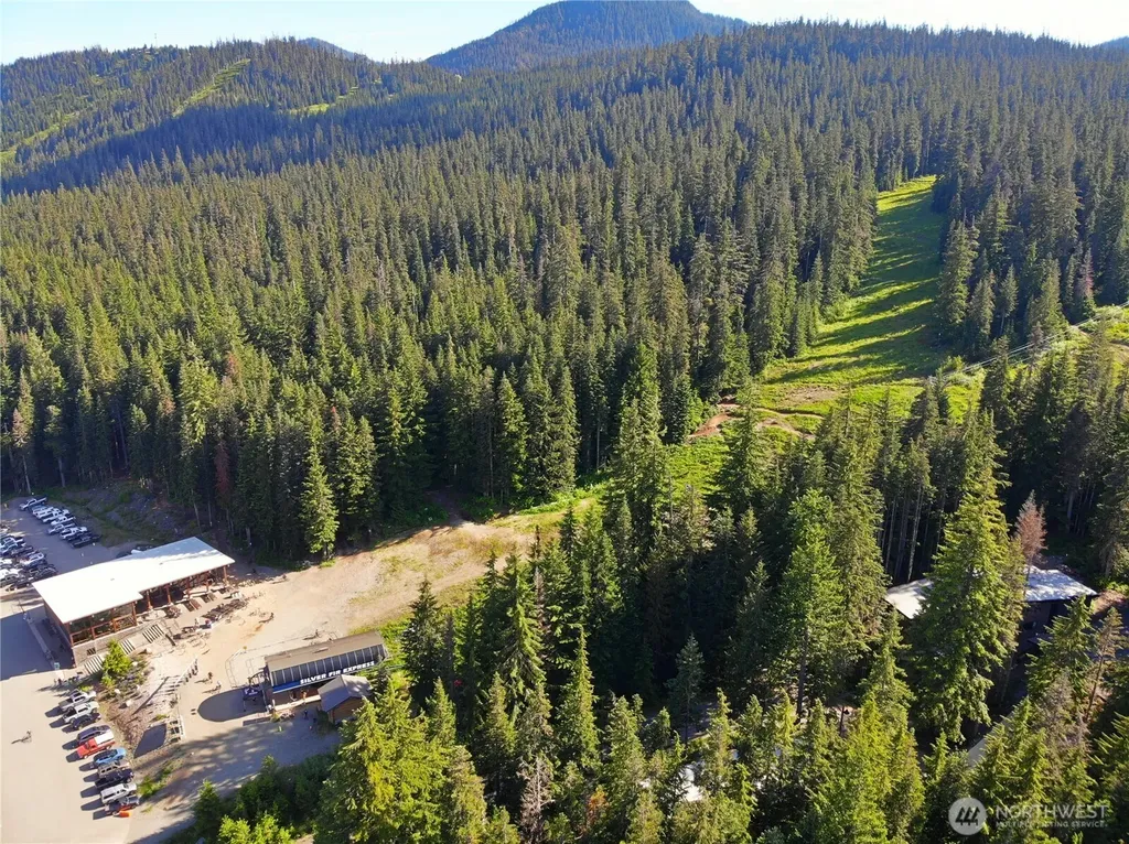 67891011 Pine Lane Snoqualmie Pass WA 98068