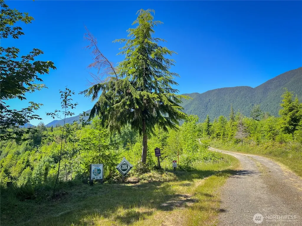 2904 Wildwood Drive Quilcene WA 98376