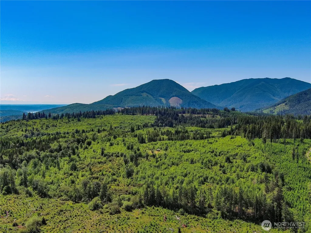 2904 Wildwood Drive Quilcene WA 98376