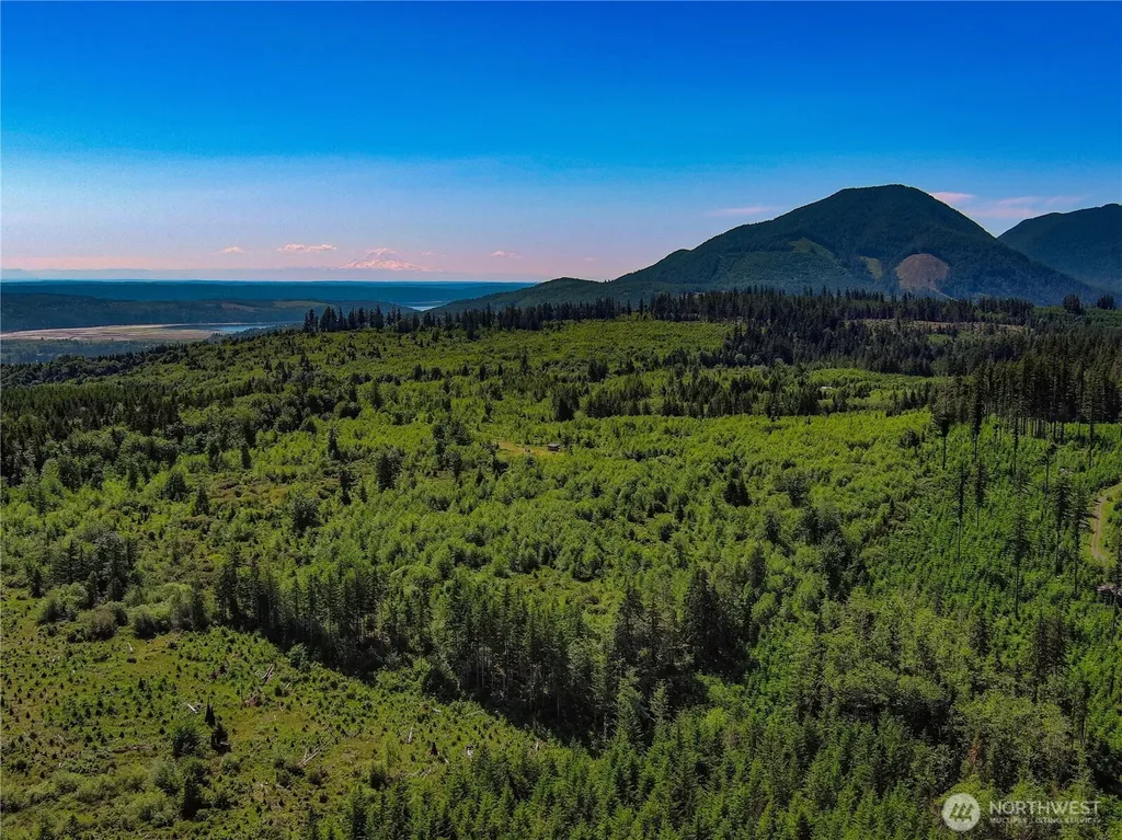2904 Wildwood Drive Quilcene WA 98376