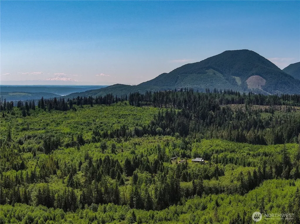 2904 Wildwood Drive Quilcene WA 98376