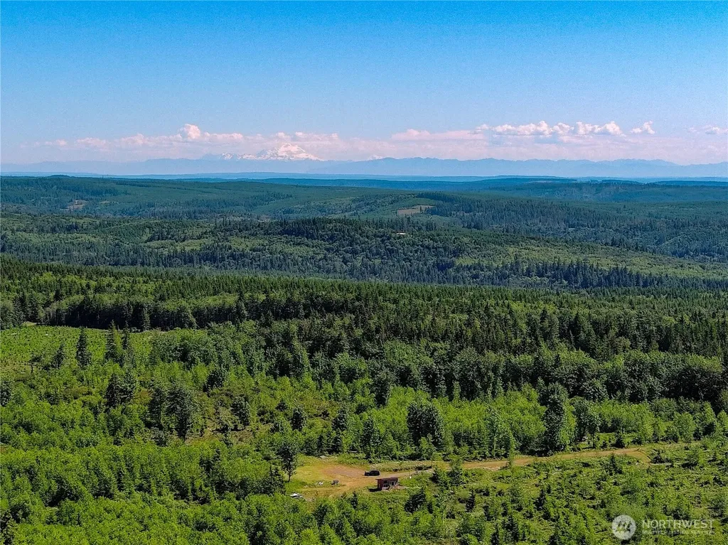 2904 Wildwood Drive Quilcene WA 98376