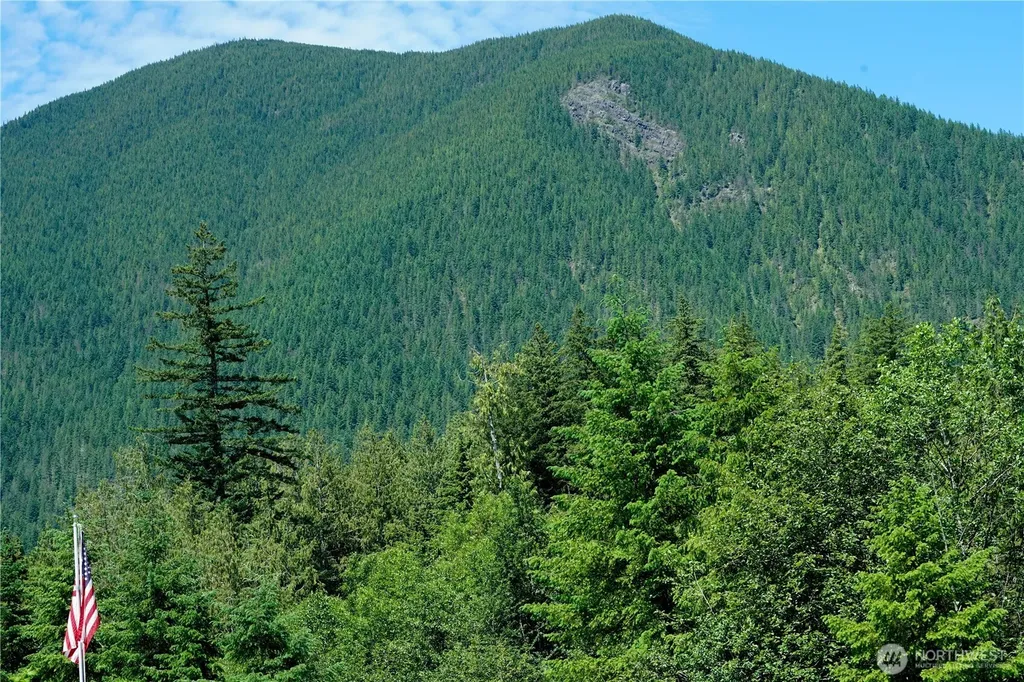 2904 Wildwood Drive Quilcene WA 98376