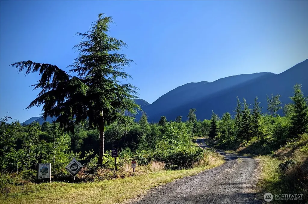 2904 Wildwood Drive Quilcene WA 98376