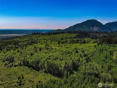 2904 Wildwood Drive Quilcene WA 98376