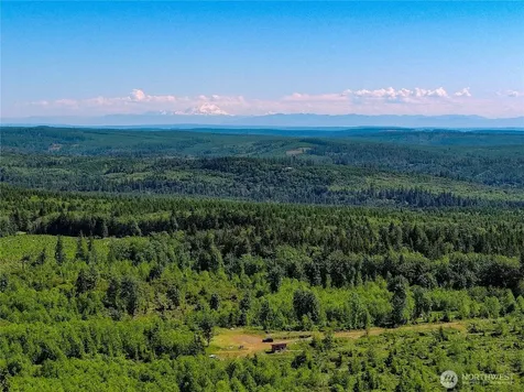 2904 Wildwood Drive Quilcene WA 98376