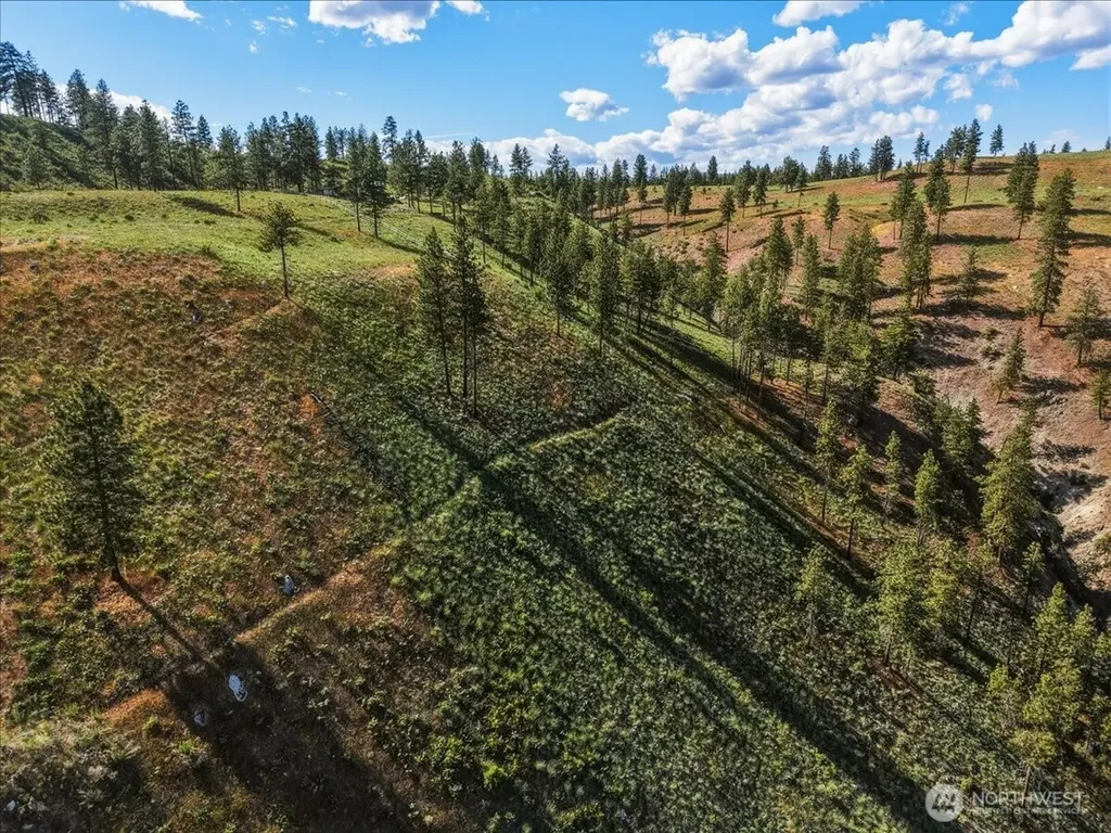 6575 Union Valley Road Chelan WA 98816
