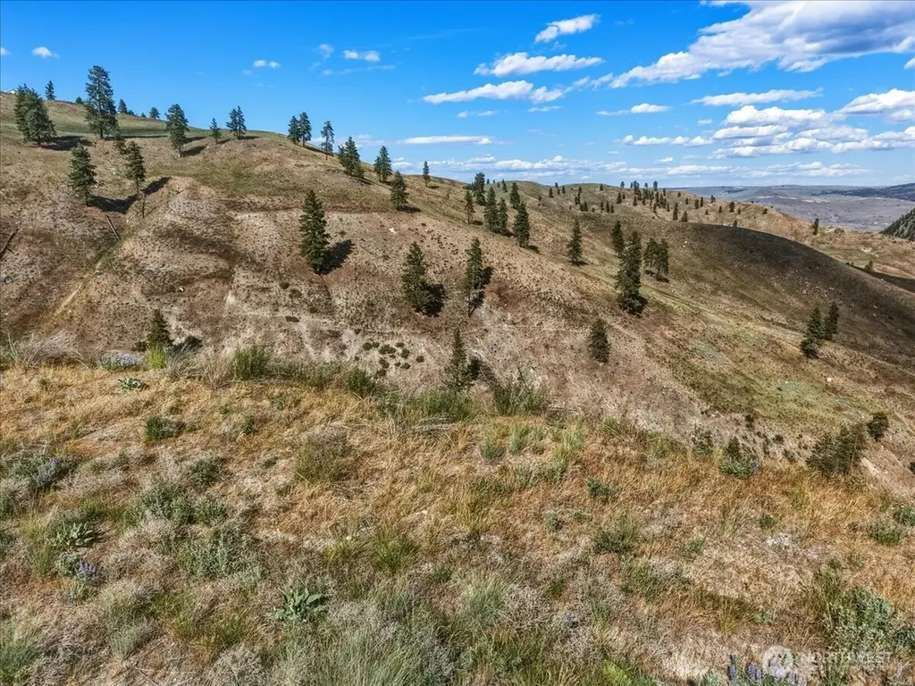 6575 Union Valley Road Chelan WA 98816