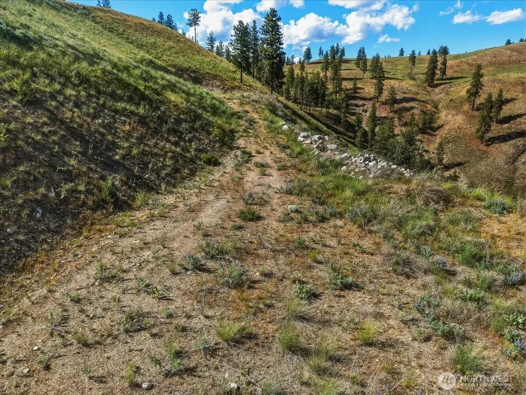6575 Union Valley Road Chelan WA 98816