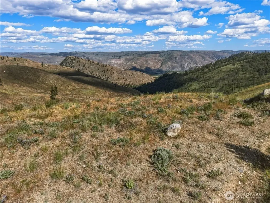 6575 Union Valley Road Chelan WA 98816