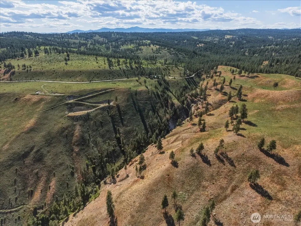 6575 Union Valley Road Chelan WA 98816