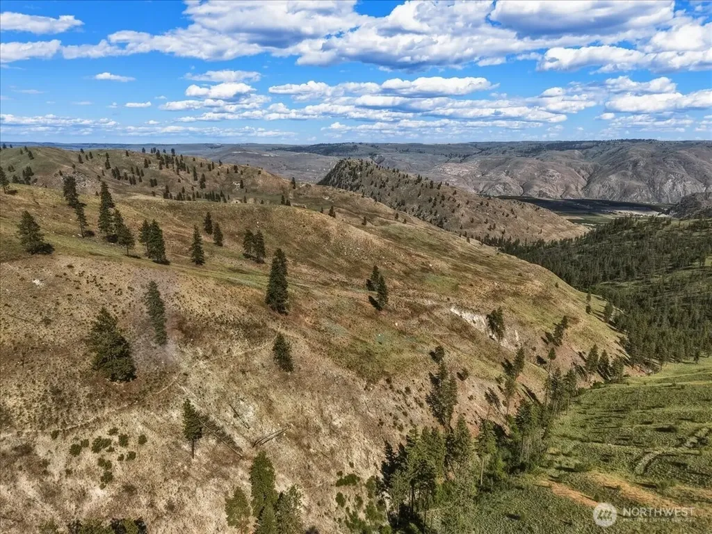 6575 Union Valley Road Chelan WA 98816