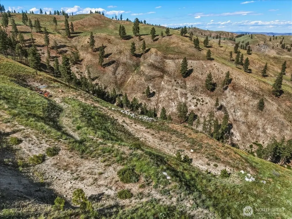 6575 Union Valley Road Chelan WA 98816