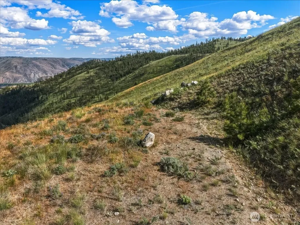 6575 Union Valley Road Chelan WA 98816