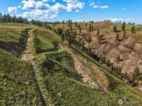 6575 Union Valley Road Chelan WA 98816