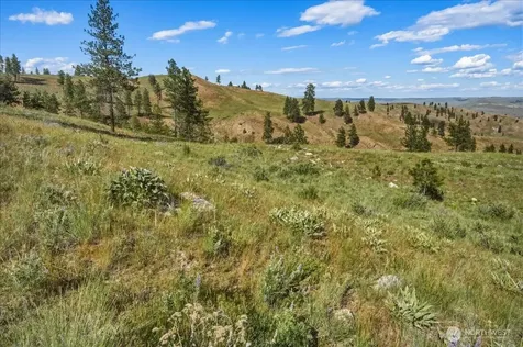 6575 Union Valley Road Chelan WA 98816