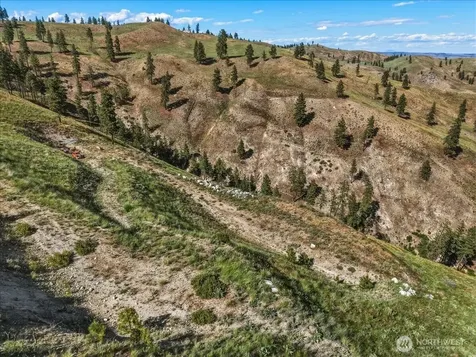 6575 Union Valley Road Chelan WA 98816
