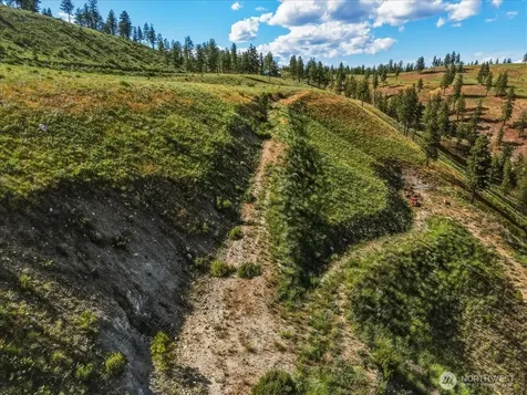 6575 Union Valley Road Chelan WA 98816
