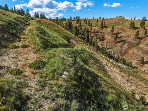 6575 Union Valley Road Chelan WA 98816