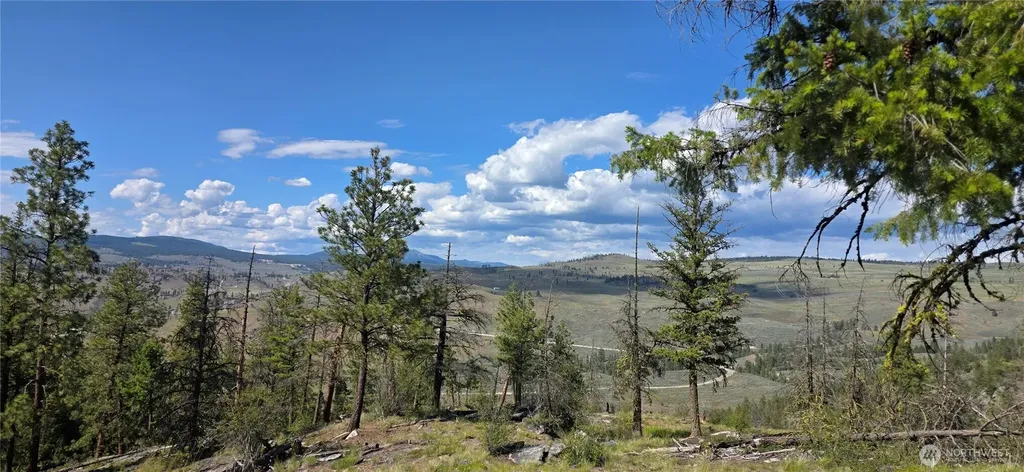 385 Corral Oroville WA 98844