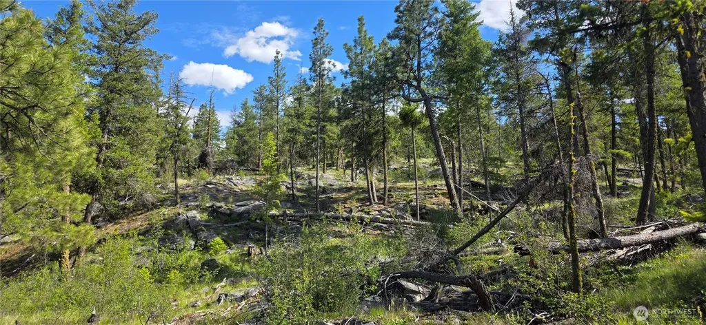 385 Corral Oroville WA 98844