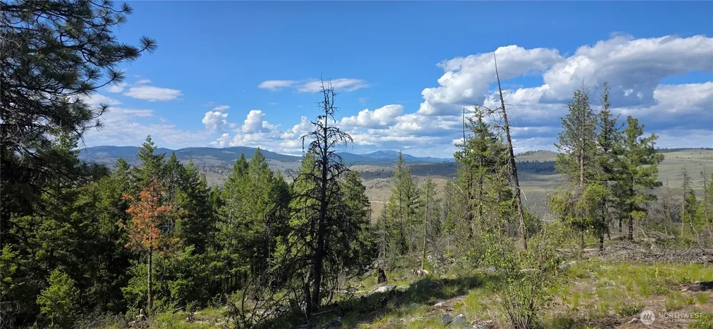 385 Corral Oroville WA 98844