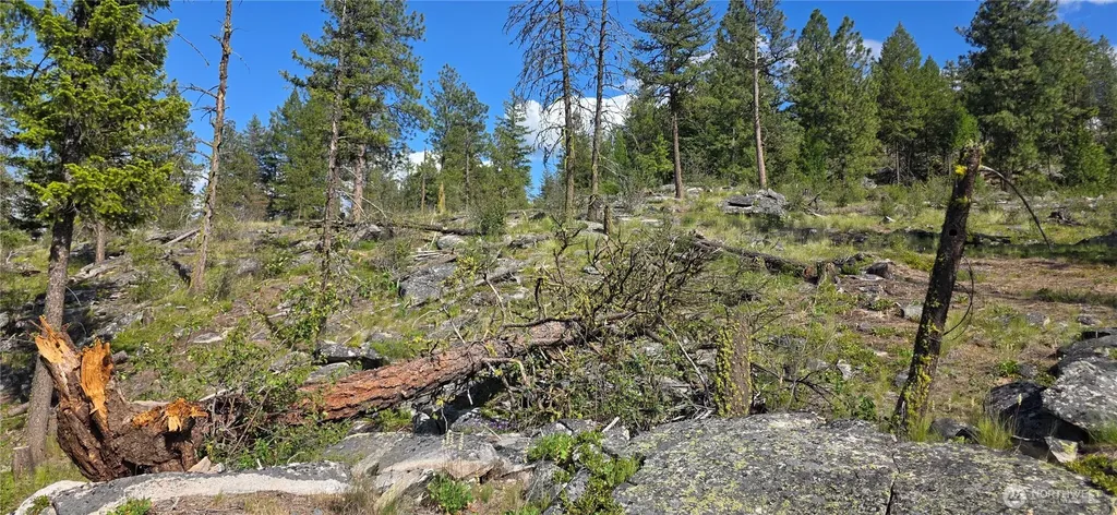385 Corral Oroville WA 98844