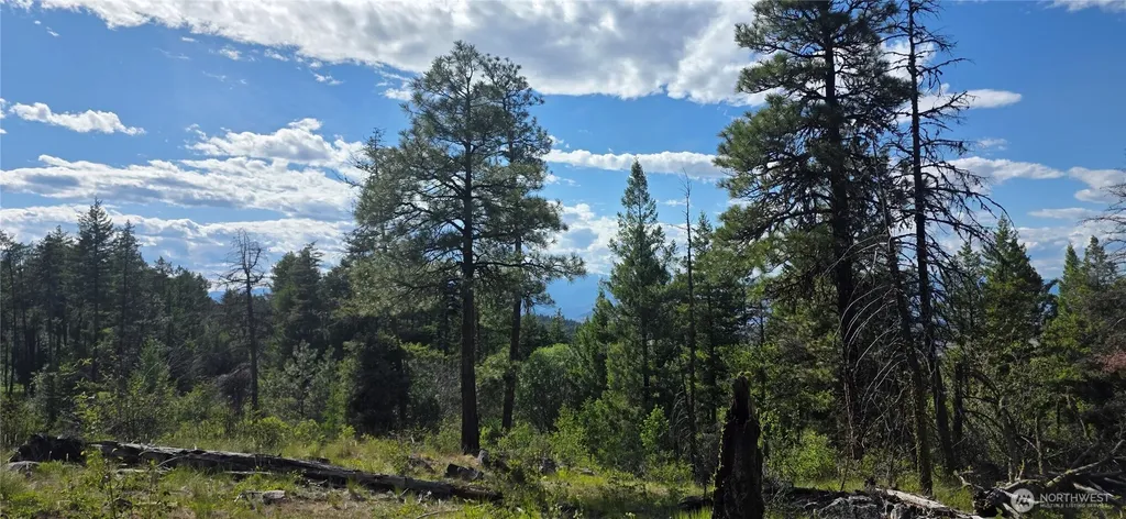 385 Corral Oroville WA 98844